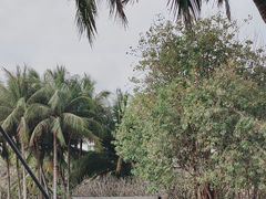 -中国（海南）南海博物馆