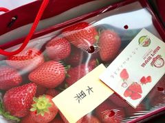 -心乐生活新鲜屋(星海广场店)