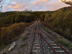 -莫尔道嘎国家森林公园