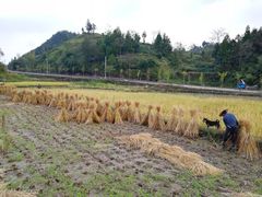 -楠溪江风景名胜区