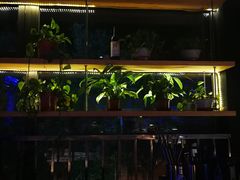 -AK47烤羊腿串吧(柳浪家园店)