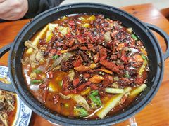 锅仔牛腩-椒香川流不息川菜馆(二七北路店)