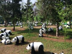 秦岭野生动物园-西安秦岭野生动物园