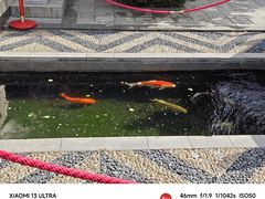 -西安市广仁寺