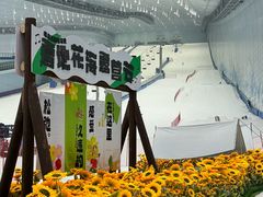 -哈尔滨热雪奇迹