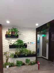 -青青一生美皮肤管理