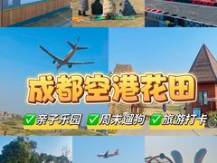-空港花田景区