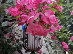 -花·fleur古董西餐厅(西城夜未央店)