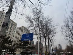 -中国医科大学附属盛京医院大连医院(总院)