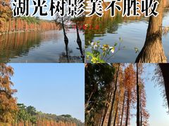 -三水森林公园