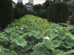 -四川大学(华西校区)