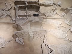 -洛阳周王城天子驾六博物馆