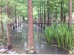 -尚湖风景区