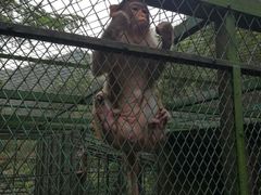 -藏龙百瀑风景区