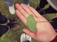 -Club Med地中海俱乐部·桂林度假村