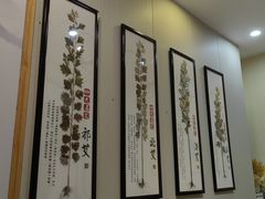 -艾通康缘艾灸.疼痛.睡眠养生馆(凤凰城店)