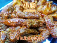 -毛小子西昌藿香火盆烧烤(学苑路店)