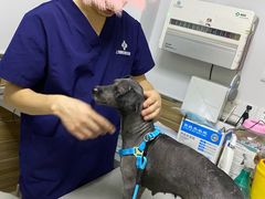 -爱侣宠医·鹦鹉专科·小型哺乳类·异宠专科(灵石路店)