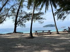 -东姑阿都拉曼海洋公园