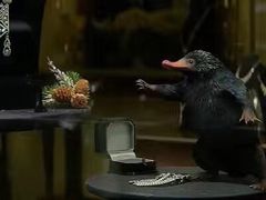 -红星电影世界开元地中海店(RealD杜比全景声)