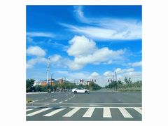-上海海昌海洋公园