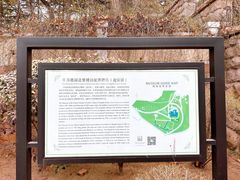 -青岛德国总督楼旧址博物馆