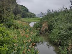 -南宁南湖公园