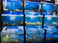 水产区-老东镇啤酒屋海鲜加工·蒸汽海鲜·海鲜烧烤(台东店)