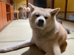 -大江户·温泉洗浴(浑南店)