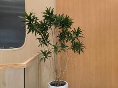 -瑶舍头疗·瑶浴·芳香热石SPA(五洲国际店)