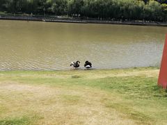 -襄阳烈士陵园(襄城区)