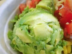 -油梨树AVOCADO TREE(顺义新国展店)