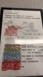 -佳慕皮肤管理连锁