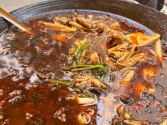 -鸿顺老铁锅美蛙鱼府(解放碑店)