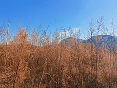 -鹫峰国家森林公园