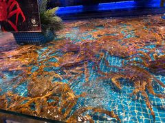 -驻海渔市(置信店)