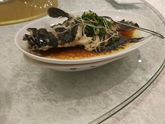 -荣誉大酒店·荣誉海鲜酒楼(晋江电力店)