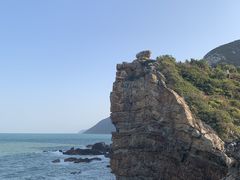 -杨梅坑
