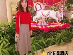 -拉斯维加斯永利酒店