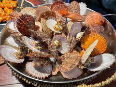 蒸扇贝-前海沿·青岛菜(五四广场永旺店)