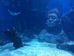 -暹罗海洋世界