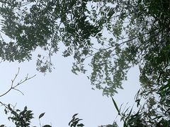 -山王坪喀斯特国家生态公园
