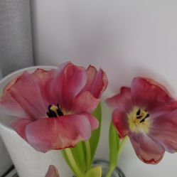 -Dr.林醫生产后修复·配方产康(南京江宁万达店)