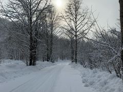 -雪谷