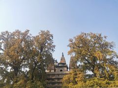 -北京石刻艺术博物馆(五塔寺)