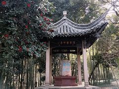 -兰亭风景区