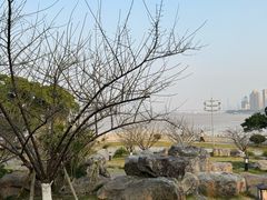 -江心屿景区