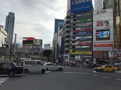 -涩谷区