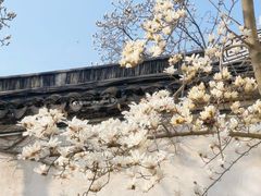 -留园