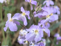 -沕沕水生态风景区